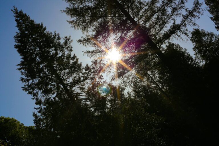 31180246_10155538982117934_4522017735625932800_o