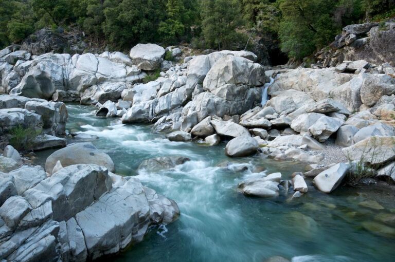 42991687_10155525542081507_525181647402827776_o